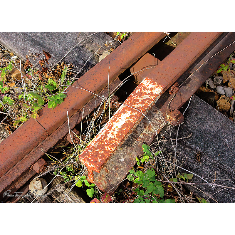 Ancien aiguillage ferroviaire et rails fortement oxydés parmi des traverses en bois et de la végétation, œuvre photographique de Pierre Tomy Le Boucher.