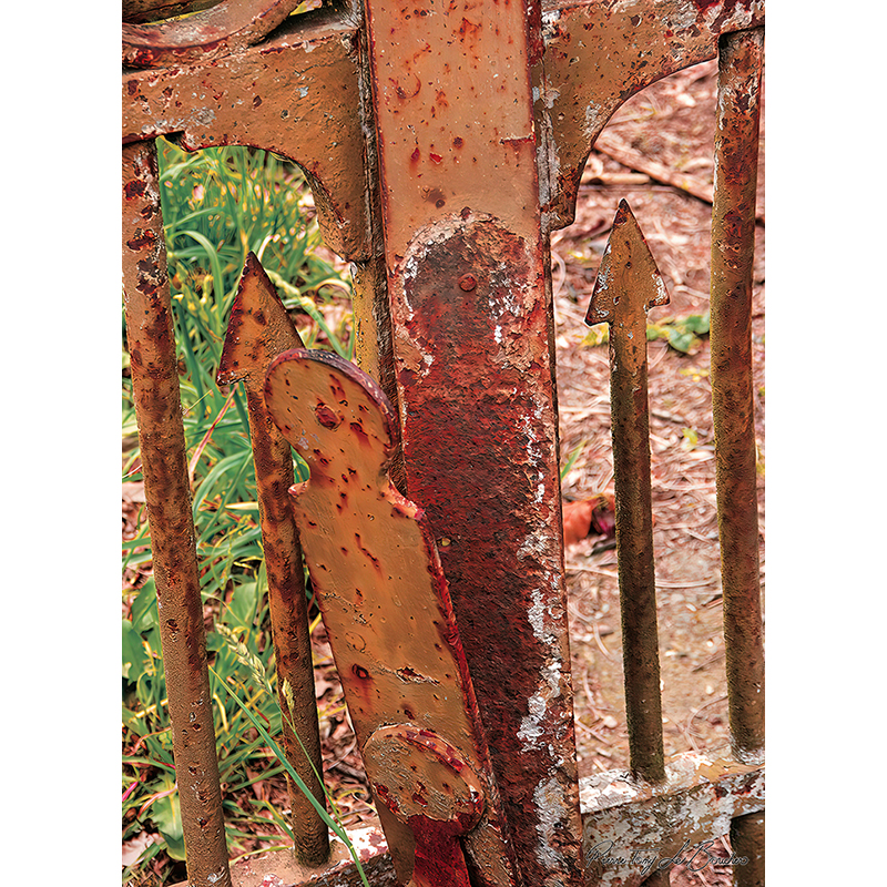 Détail d’une ancienne grille métallique rouillée avec fers verticaux terminés en pointes et surfaces brunes, rouges et orangées, œuvre photographique de Pierre Tomy Le Boucher.
