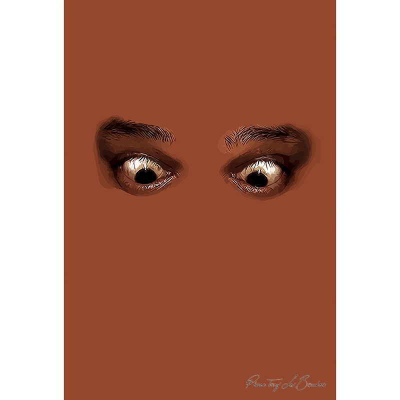 Deux yeux très ouverts émergent d’un monochrome brun, œuvre Z comme Zoonoses - La maladie de Lyme de Pierre Tomy Le Boucher.