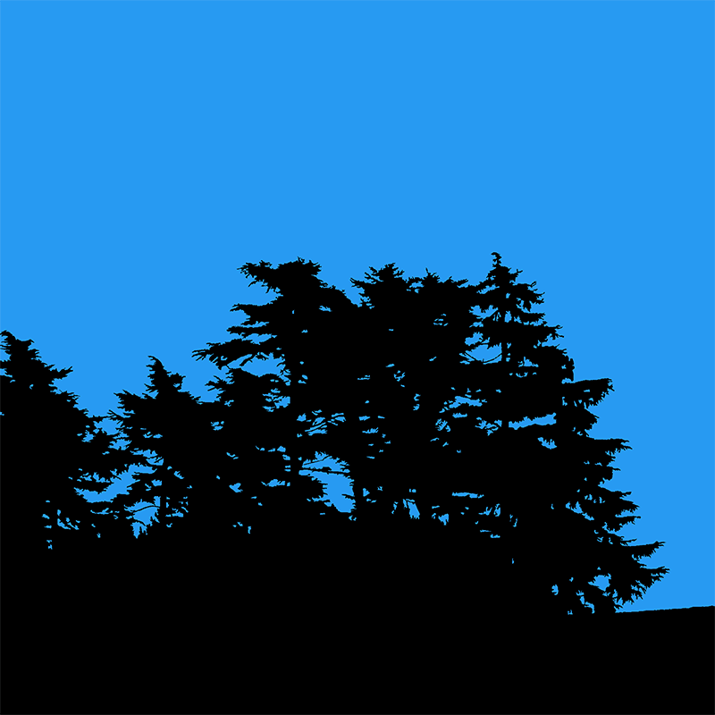 Silhouettes noires d’arbres se détachant sur un ciel bleu uniforme.