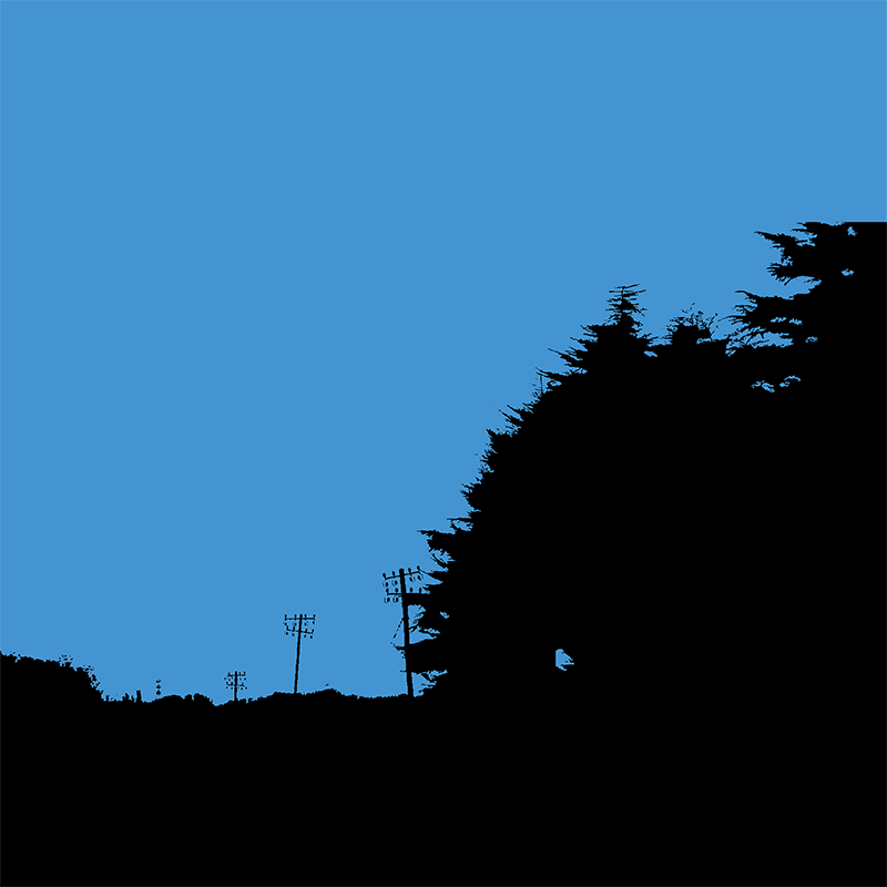 Silhouettes noires d’arbres et de poteaux électriques sur un ciel bleu uniforme.