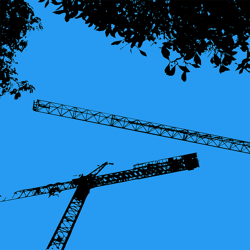 Silhouettes noires de grues et de feuillages se détachant sur un ciel bleu uniforme.