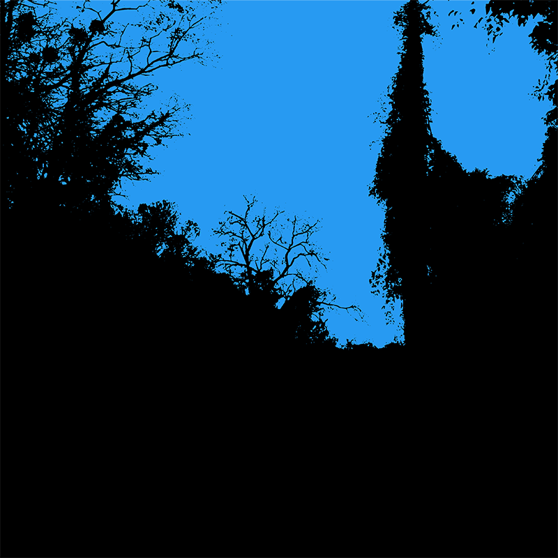 Silhouettes noires d’arbres, de végétation et d’une haute forme verticale sur un ciel bleu uniforme.