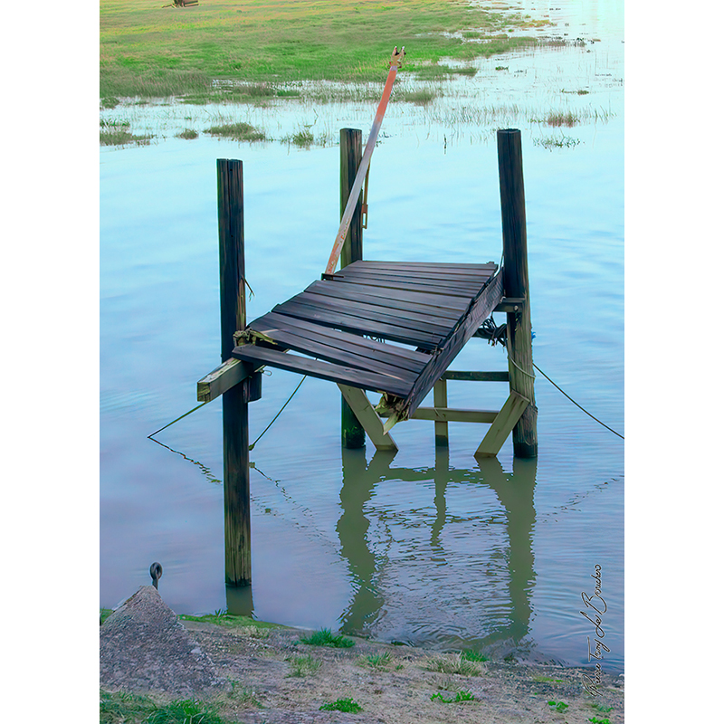 Ancien ponton en bois avançant dans l’eau, avec poteaux, planches et structure légèrement déformée, œuvre photographique de Pierre Tomy Le Boucher.