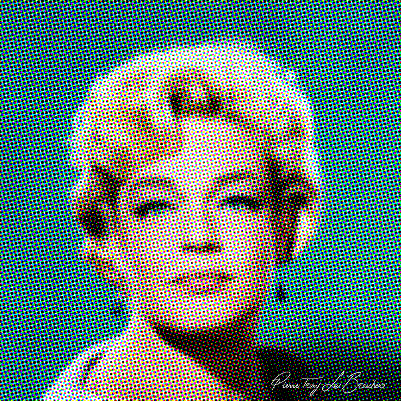 Portrait intitulé Simone Signoret traité par dilution optique.