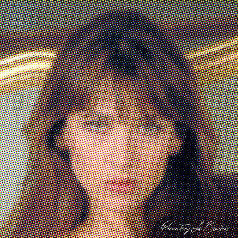 Portrait intitulé Sophie Marceau traité par dilution optique.