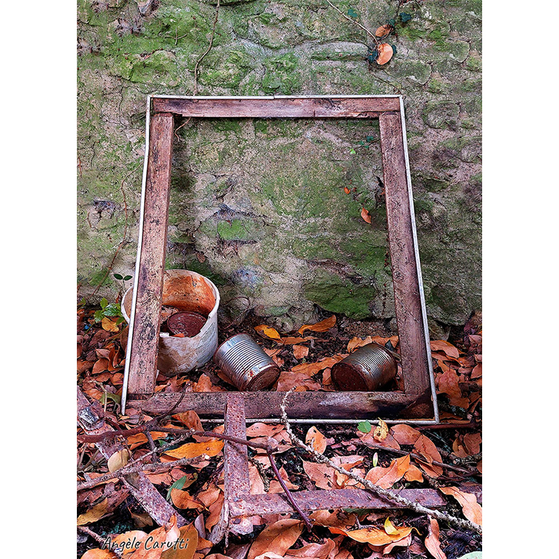 Ancien cadre métallique rouillé posé devant un mur couvert de mousse, entouré de feuilles mortes, de boîtes métalliques et de fragments abandonnés, œuvre photographique de Pierre Tomy Le Boucher.