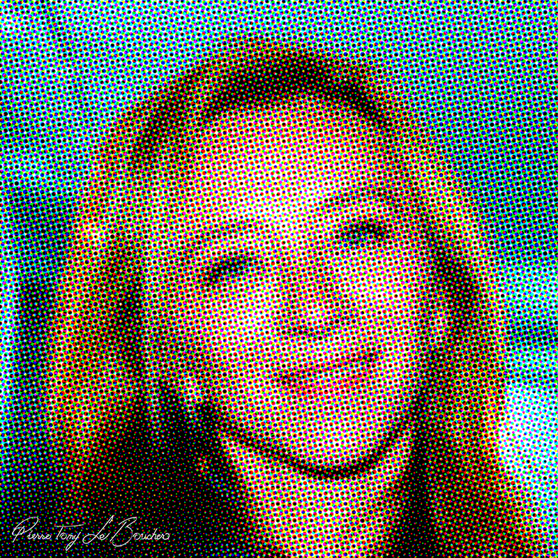 Portrait intitulé Sylvie Testud traité par dilution optique.