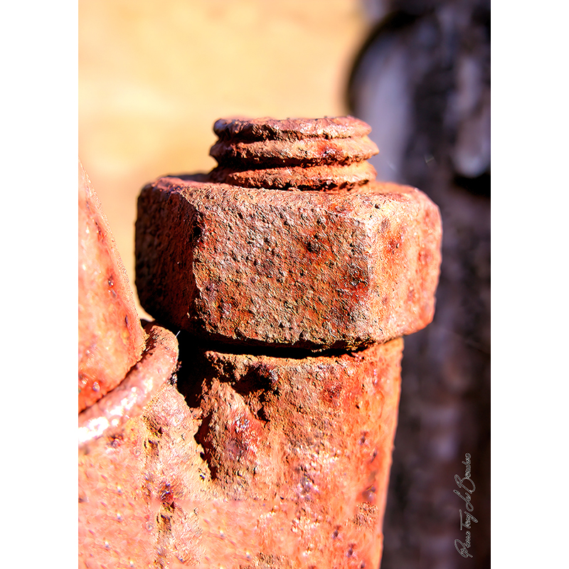 Gros plan sur une tige filetée et un écrou entièrement recouverts de corrosion dans des tons rouges, orangés et bruns, œuvre photographique de Pierre Tomy Le Boucher.