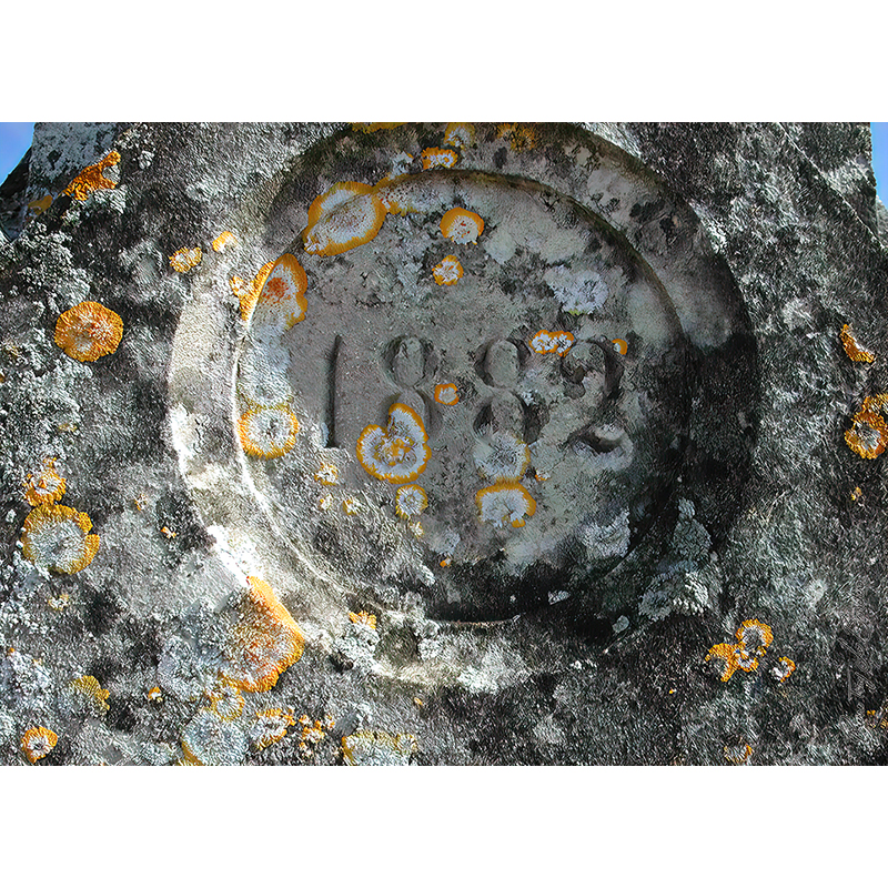 Gros plan sur une surface ancienne portant l’inscription 1882, couverte de lichens gris, noirs et orangés, œuvre photographique de Pierre Tomy Le Boucher.