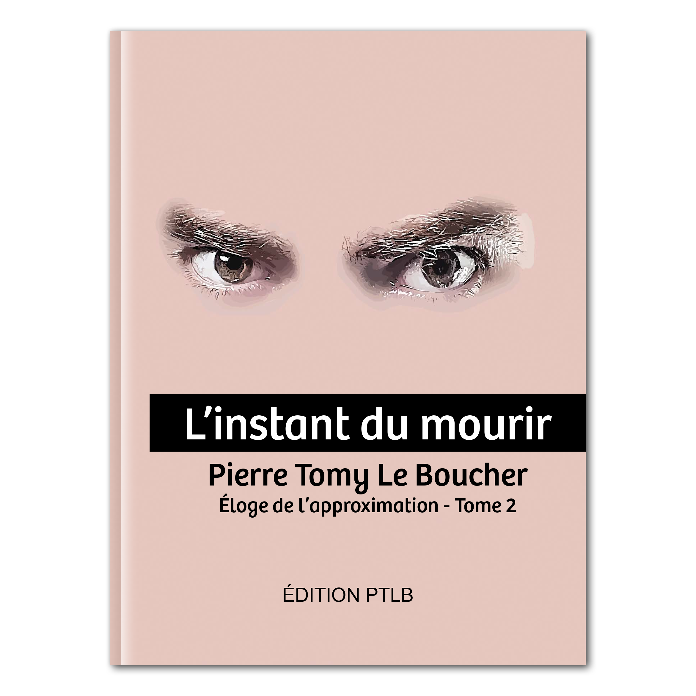 couverture du livre sur le thème de l'instant du mourir