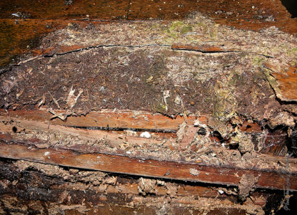 Reste des strates d'un plancher à l'Isle Jourdain possédant les stigmates du temps et de l'usage.
