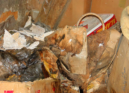 Poubelle plastique et carton possédant les stigmates du temps et de l'usage.