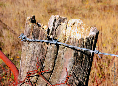 Poteau de clôture avec l'apparition des stigmates du temps et de l'usage.