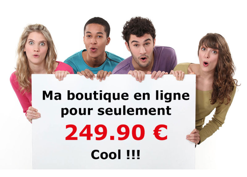 Ma boutique E-commerce pour 250.00 euros hors-taxes