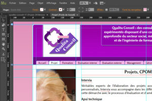 formation adobe Muse avec son interface