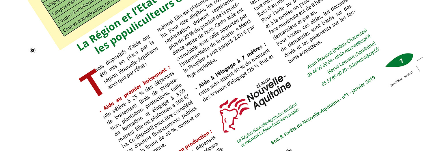 Header formation adobe Indesign représentant la revue "bois et foret de Nouvelle-Aquitaine
