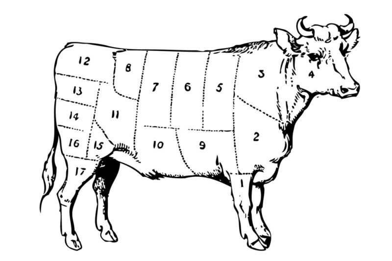 Identité visuelle vache cartographie