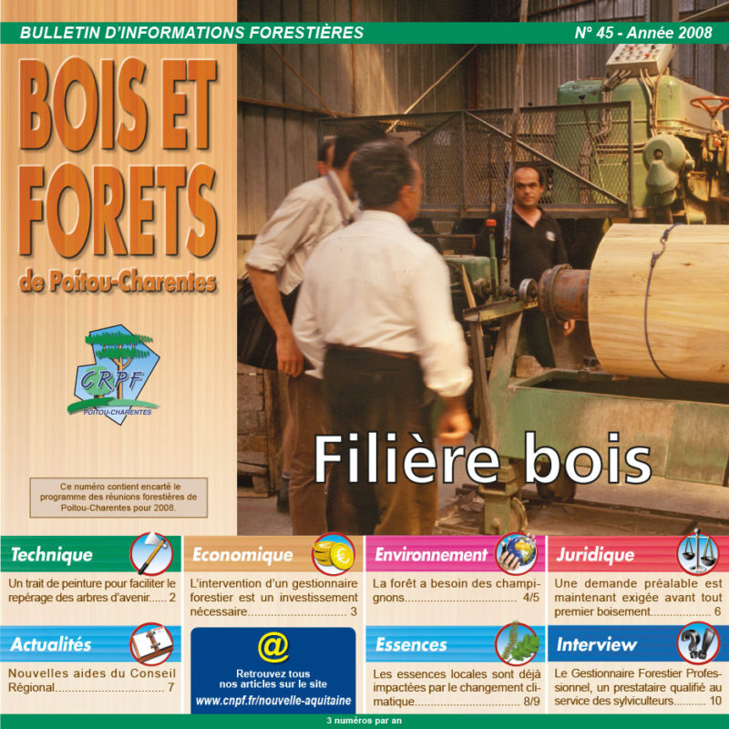 Reportage avec la revue Bois et Forêt Poitou-Charentes - image avant retouche