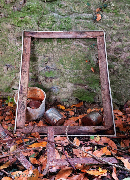 Sortir du cadre - photographie d'Angèle Carutti