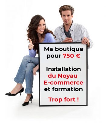 Ma boutique E-commerce pour 750.00 euros hors-taxes